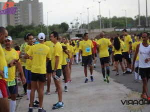 co vir 2016 (33)